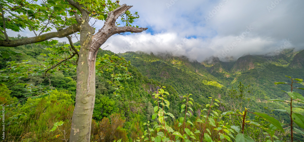 Fototapeta premium Panoramic View from Vereda dos Balcoes PR11 Mountain Footpath, Irrigation Channel Maintenance Trail, Madeira, Portugal, Europe