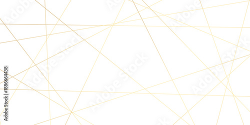 Abstract background with lines. White weave geometric golden lines. Abstract background vector Illustration . futuristic business.