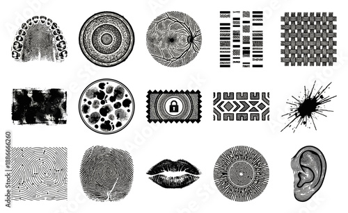 Vintage Engraving Biometric Identity Element Kit for Forensic Science and Personal Security Data Concepts