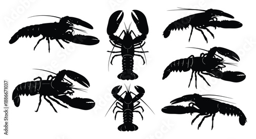 Lobster silhouettes displayed in various poses against a white background
