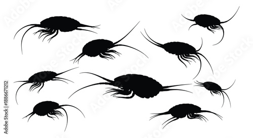 Prehistoric trilobite or crustacean silhouettes swimming in isolated black and white graphic form