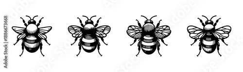 Isolated Bumblebee Illustration Set on White, Vintage Engraving Bee Insect Vector Collection