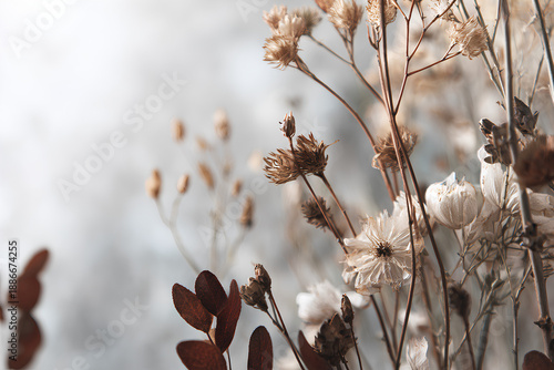 Calm Nature Inspired Botanical Scene with Soft Greenery and Ample Copy Space for Wellness and Design Use  
