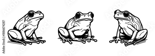 Collection of sitting frog silhouettes in hand drawn outline style. Minimal vintage amphibian vector set.
