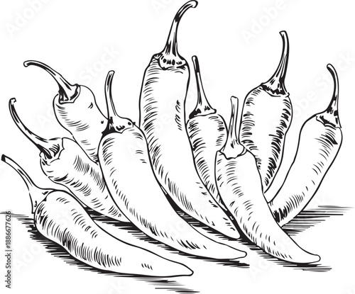 Hot chili paper icon set vector on white background. chili peppers doodle hand drawn set. chili, pepper, jalapeno,vegetable, food vector icons.