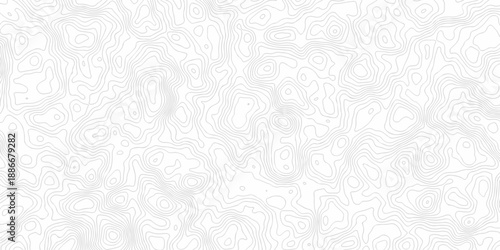 Contour abstract map relief land outline. Topographic map patterns. White wave paper curved reliefs abstract background. Background of the topography map. Abstract pattern with lines.