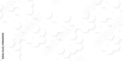 Abstract background with squares . Background with hexagons . Abstract background with lines . white texture background . white and hexagon abstract background. white paper texture and futuristic .