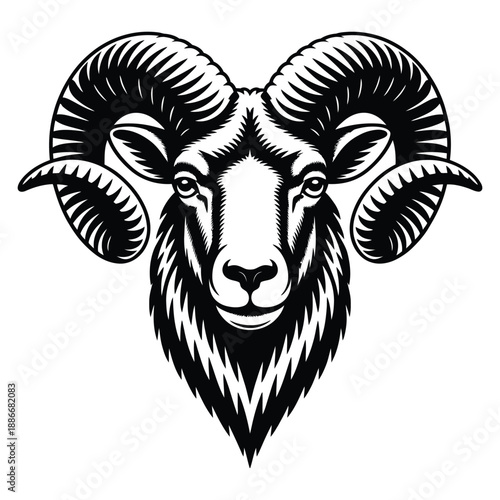 head of a ram