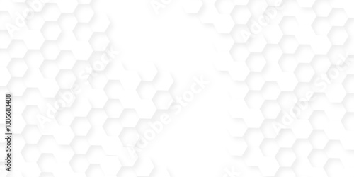 Abstract background with squares . Background with hexagons . Abstract background with lines . white texture background . white and hexagon abstract background. white paper texture and futuristic .