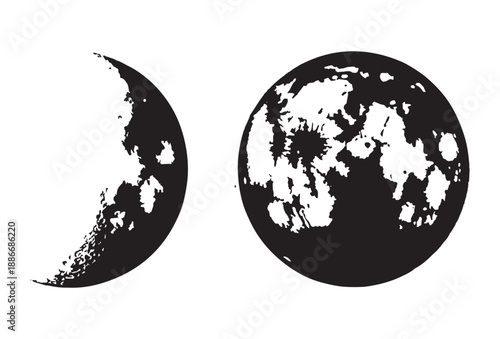 Moon phases vector illustration in black and white. isolated lunar cycle on white background