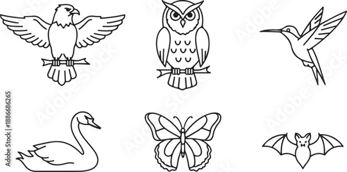 Set of bird and insect icons: eagle, owl, hummingbird, swan, butterfly, bat Isolated on white background