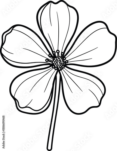 Black and white vector line art illustration of a single blooming flower with five petals and detailed stamen for floral nature coloring book design