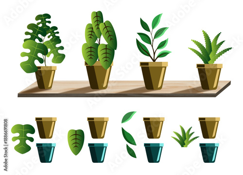 set of plants vector