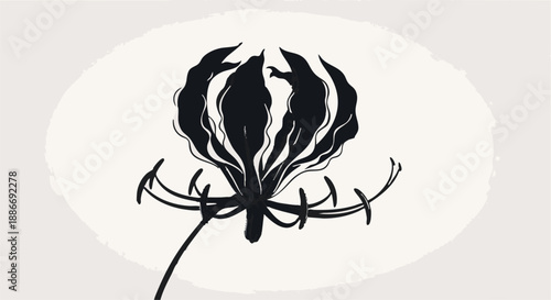 flowers vector graphics, tarantula, web, flower, vector flower, spring flower, autumn flower, summer flower, best flower, simple flower