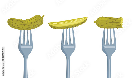 Pickles on a fork. Pickled cucumber appetizer. Fermented vegetables. Food vector illustration isolated on white background.