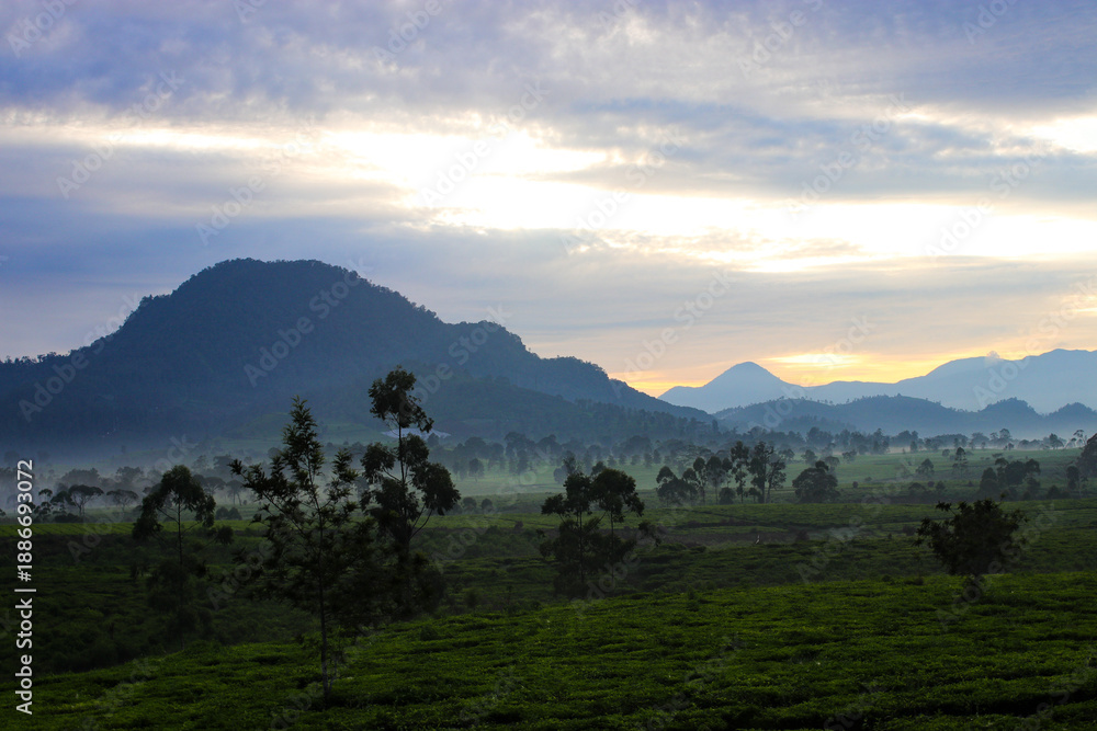 Obraz premium Wide scenic view of a green valley with steam rising from a geothermal power plant, surrounded by mountains and fields under soft morning light, renewable energy, sustainability, and landscape themes.
