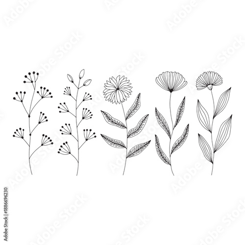Black and white line of various flowers and plants with detailed leaves and stems line flowers