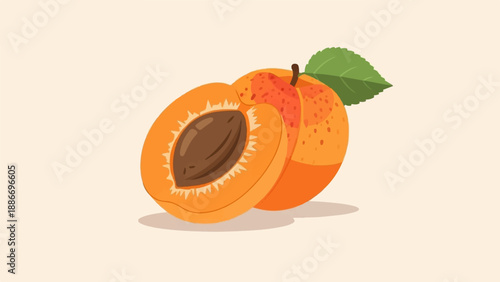 Two juicy apricots, one whole and one halved, revealing its seed