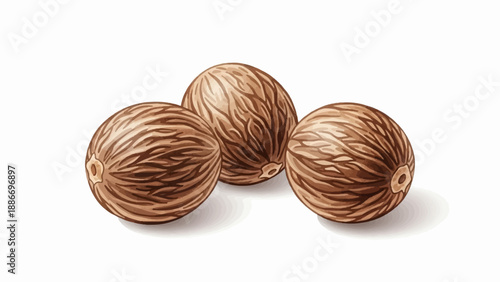Three whole brown nutmegs with textured shells and subtle shadows