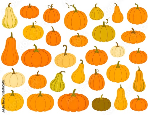 A flat illustration of a variety of orange, yellow, and green gourds, including pumpkins, against a white background