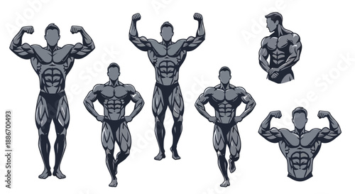 Diverse Bodybuilder Poses Collection, Fitness and Strength Motivation Illustrations