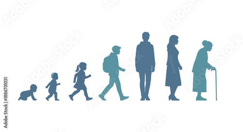 Human Life Cycle Stages Silhouette Sequence from Baby to Elderly Person