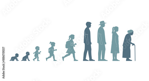 Human Life Cycle Stages: From Infancy to Old Age Silhouette Evolution