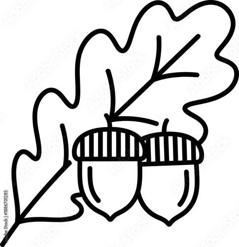 Oak leaf and two acorns vector illustration, plant line icon for autumn design, nature symbol