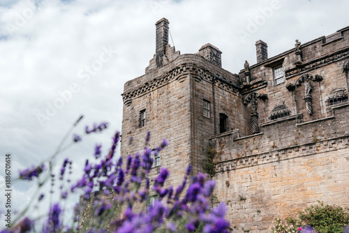 Фотография Stirling Castle Stone Walls with Purple Flowers in Foreground, Scotland