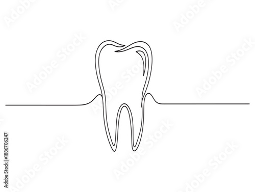 Detailed anatomical illustration of a human molar tooth with visible roots and internal structure