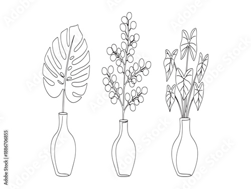 Vintage botanical illustration of three lavender sprigs in glass bottles hand drawn style