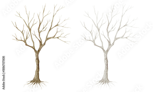 Fotografi Watercolor dead tree and bare branches set