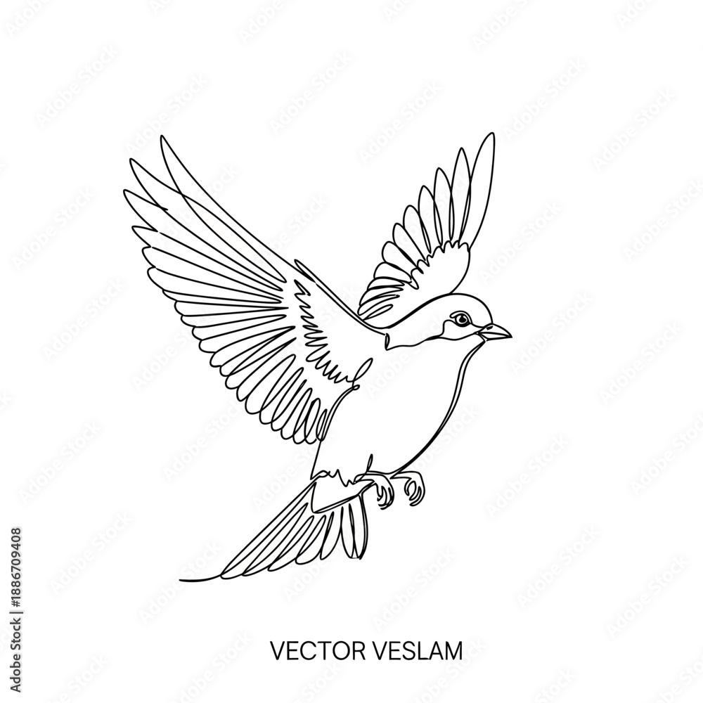 Obraz premium Line art of a flying bird with detailed wings