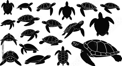 Set of sea turtle silhouettes, aquatic animal vector collection, marine reptile shapes for conservation design, ocean wildlife icons isolated on white background