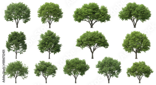 A diverse collection of vibrant green trees with lush foliage isolated on a black background