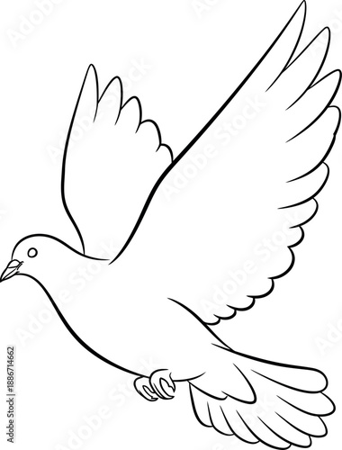 Dove symbol of freedom