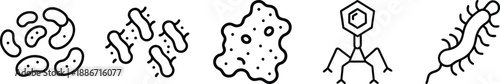 Collection of simplified outline icons depicting various types of bacteria and microorganisms in a scientific context. transparent background