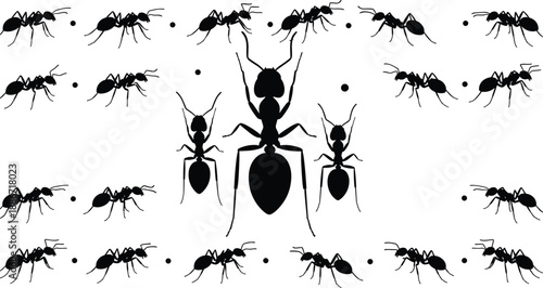 Silhouetted ant colony formation with queen and worker ants on white background, symbolizing teamwork, hierarchy, insect behavior, and nature’s organized social structure.