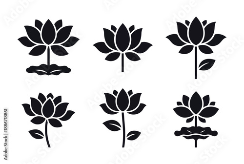 Vector lotus flower illustration set, floral design elements, lotus blossom graphic, water lily art
