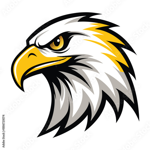 Detailed Stylized Eagle Head Vector Illustration