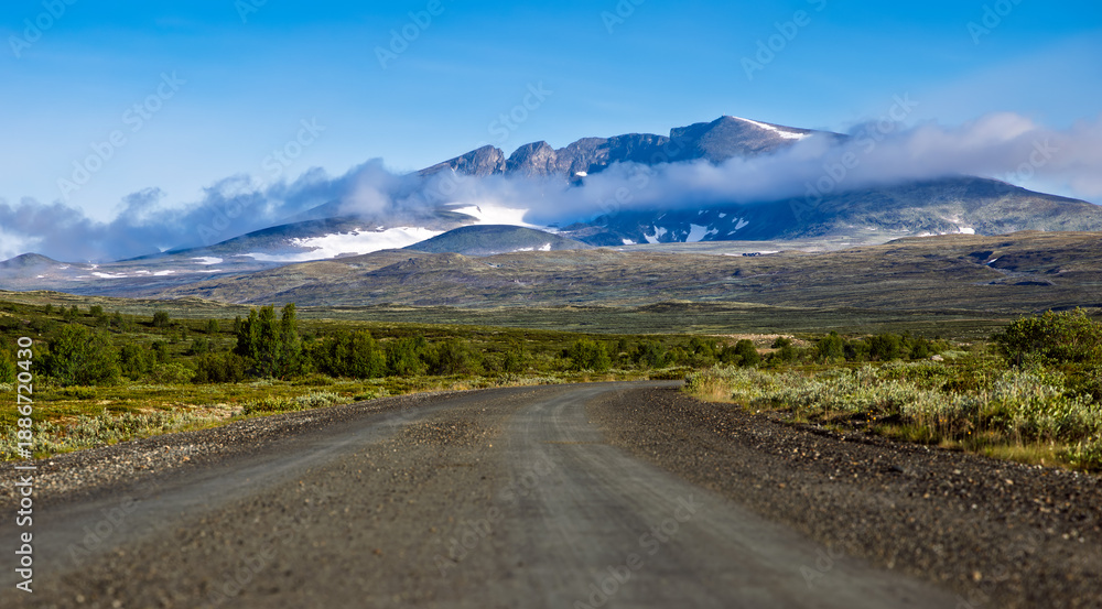 Fototapeta premium Scenic gravel road winding through green tundra towards snow covered mountains in Dovrefjell National Park Norway under blue sky and low clouds.