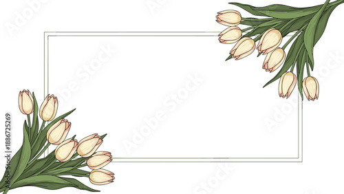 Elegant floral frame featuring clusters of hand drawn white tulips with green leaves at the corners on a clean white background with subtle border.