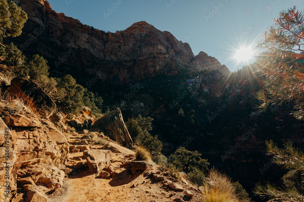 Fototapeta premium National Park Zion