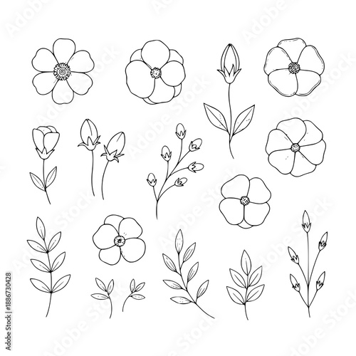 Stylized hand drawn sketch flower and botanical vector elements for bouquets and arrangements