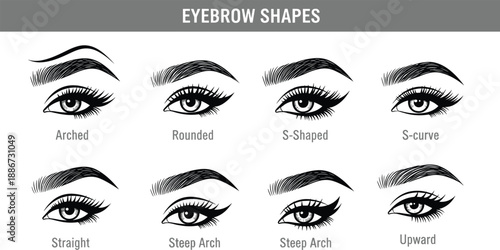 Eyebrow shapes guide illustration, different brow styles for beauty makeup design, cosmetic shaping reference chart, black and white vector set