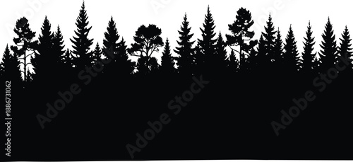 Mixed forest silhouette treeline with pine and deciduous trees against white sky creating clean wilderness landscape background for stock design