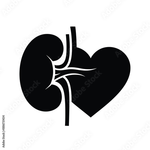 Black silhouette of a human kidney connected to a heart on white background organ anatomy