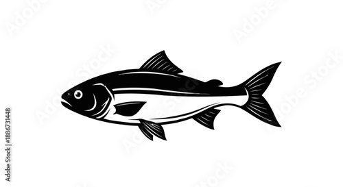 Close up of a black and white leaf skeleton with intricate veins.