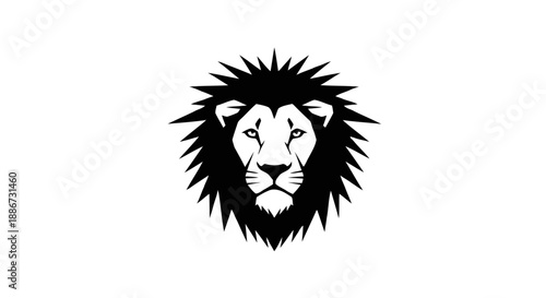 Outline of a fish on black background