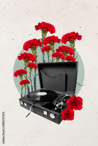 Bild auf Leinwand Trendy banner 3d poster image photo collage of red roses daisy bloom vinyl disk